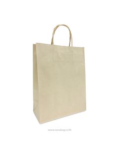 Paper Twisted Handles Bag M2