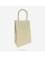 Twisted Handles Paper Shopping Bag 