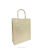 Twisted Handles Paper Shopping Bag M1